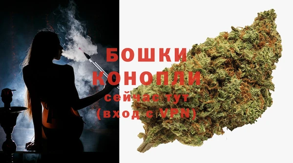 прущие крисы Аркадак
