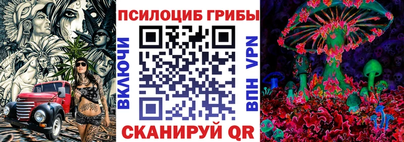 Псилоцибиновые грибы прущие грибы  магазин  наркотиков  Багратионовск 