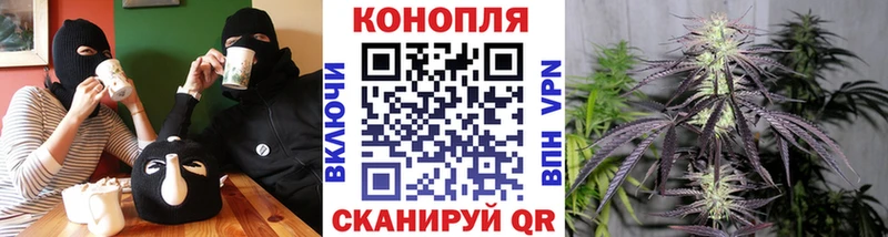 Конопля SATIVA & INDICA  где можно купить   Багратионовск 